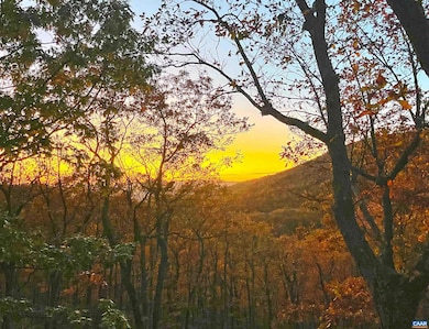 66 Brimstone Dr, Wintergreen Resort, VA 22967 - photo 2