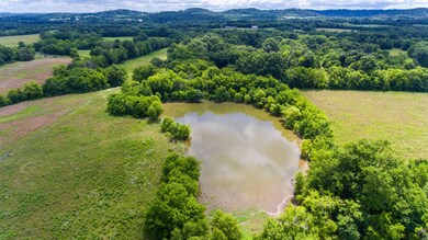 482 Sandusky Rd, Shelbyville, TN 37160 - photo 6