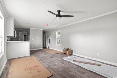Living room featuring ceiling fan, ornamental mold