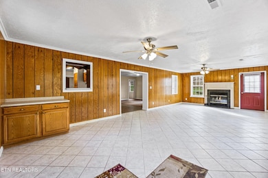 51 Turkeytown Rd, Hilham, TN 38568 - photo 4