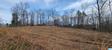 24 Hollys Ln unit 21, Riverside, AL 35135 - photo 7