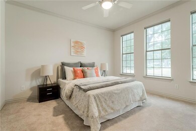 LOVELY TREE CANOPY THROUGH THE WINDOWS; NEW CARPET