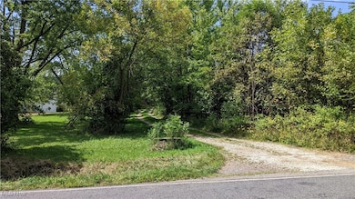 9376 Daniels Rd, Seville, OH 44273 - photo 4