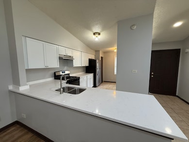 547 Fessler Ave, Naperville, IL 60565 - photo 5