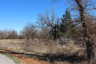 1122 Wildflower Cir, Cache, OK 73527 - photo 4