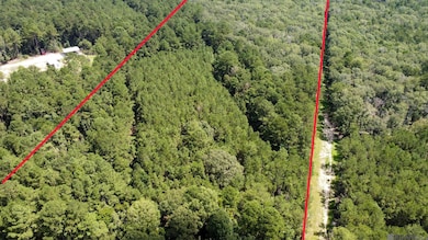 Tract V-4 Jim Price Rd, Greenwel Springs, LA 70739 - photo 3