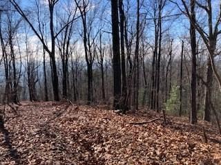 LOT 274 Heron Ct, Ellijay, GA 30540 - photo 3