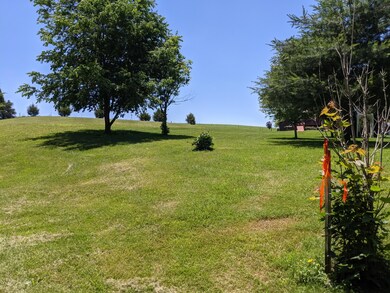 PXL_20210617_172618052