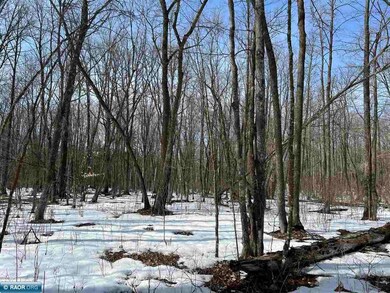 LOT 2 Swan River Reserve River Oak Dr, Pengilly, MN 55775 - photo 7