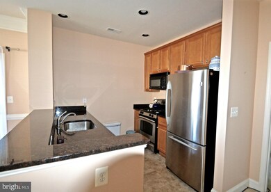 12828 Clarksburg Square Rd unit 203, Clarksburg, MD 20871 - photo 6