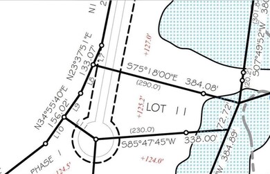 Lot 11 per survey
