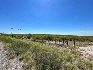 000 Abst 1393 Sur 592, Mirando City, TX 78369 - photo 5