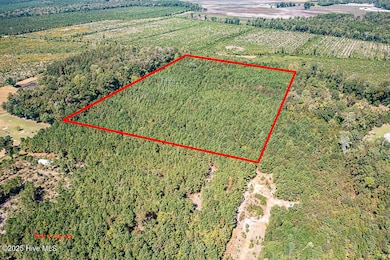 780 Campbell Rd, Vanceboro, NC 28586 - photo 3