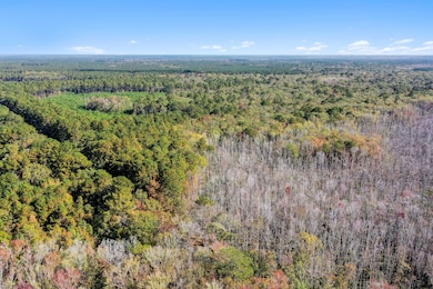 0 Spring Grove Rd, Adams Run, SC 29426 - photo 3