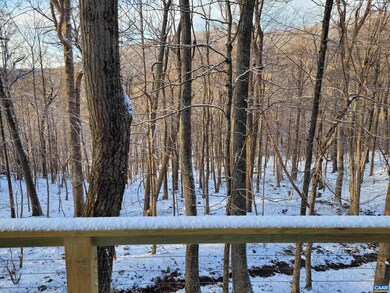 2070 Laurel Springs Dr, Wintergreen Resort, VA 22967 - photo 7