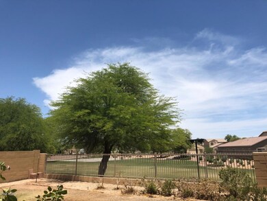 Viewed Fencing