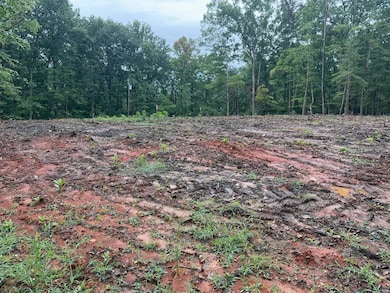 unlisted-address, Huddleston, VA 24104 - photo 5