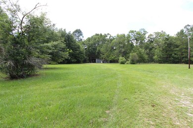 3585 Spring Creek Hwy, Crawfordville, FL 32327 - photo 7