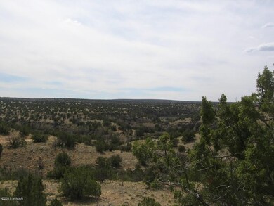 Swenson 40 acres 010.JPG