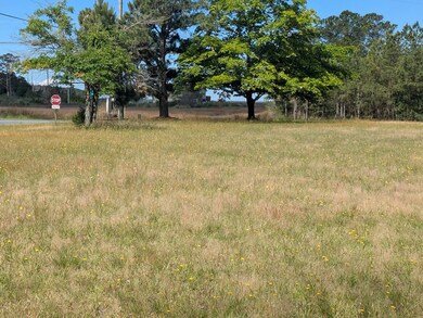 Lot View