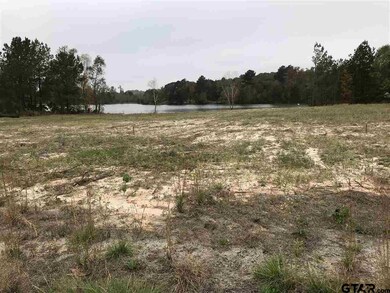 10908 Deer Creek Dr, Tyler, TX 75707 - photo 3