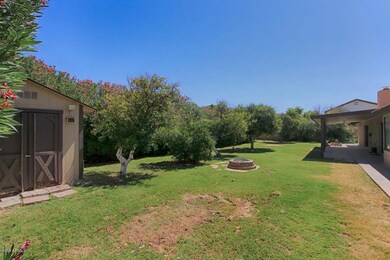 Back Yard2
