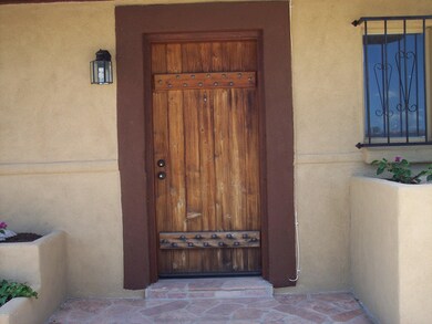 Custom Made Front Door