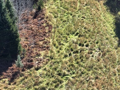 Eben-Trenary Road Lot unit WP001, Trenary, MI 49891 - photo 6