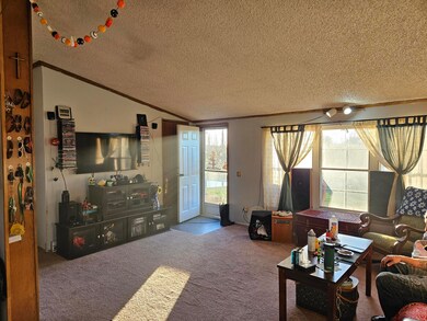 9156 50th Ave, Evart, MI 49631 - photo 4