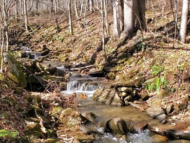 999 Scronce Creek Rd, Cane River, NC 28714 - photo 2