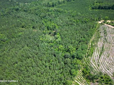 0 Rd, Noxapater, MS 39346 - photo 2