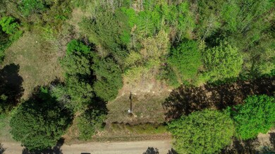 Aerial view featuring a wooded view