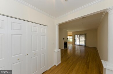 The Pavillion unit 101, Falls Church, VA 22043 - photo 4