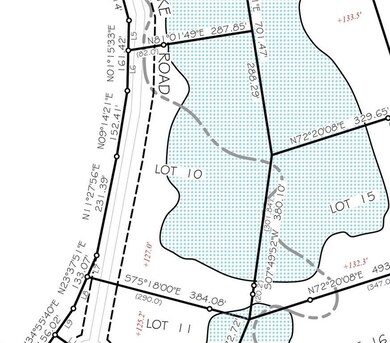 Lot 10_survey