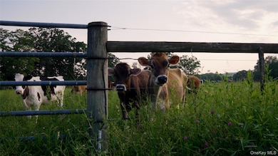 2039 Salt Point Turnpike, Salt Point, NY 12578 - photo 6