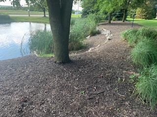 Pond 2