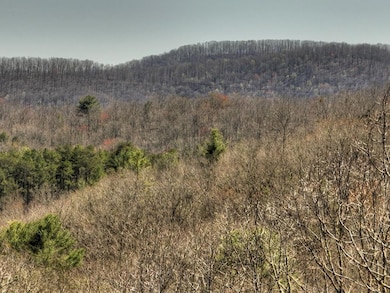 33 & 34 Fannin Overlook, Blairsville, GA 30512 - photo 2