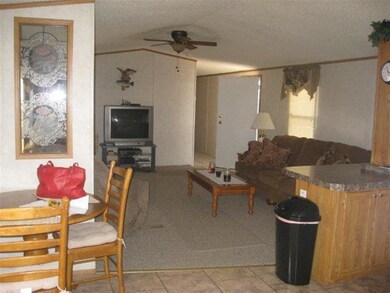 5250 Hand Cove Rd, Big Creek Township, AR 72531 - photo 4