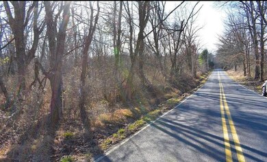 0 Greiss St unit 739613, Alburtis, PA 18011 - photo 4