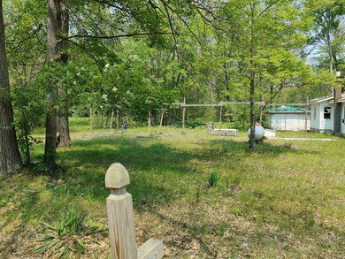 2991 W Broadway, Bitely, MI 49309 - photo 2