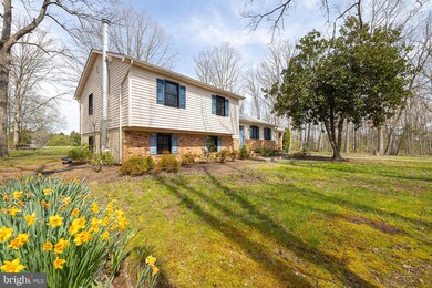 5380 Savannah Branch Rd, Bealeton, VA 22712 - photo 5