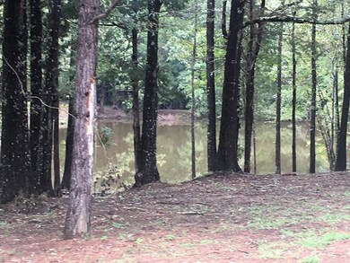 0 County Road 103, Lafayette Springs, MS 38655 - photo 6