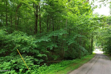 Streetview