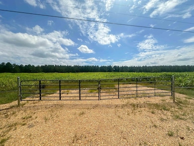View of yard featuring a rural view
