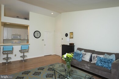 13703 Modrad Way unit 9-B-31, Silver Spring, MD 20904 - photo 6