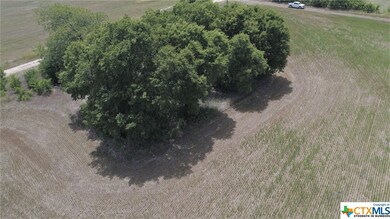 TBD Montgomery Ln, Moody, TX 76557 - photo 6