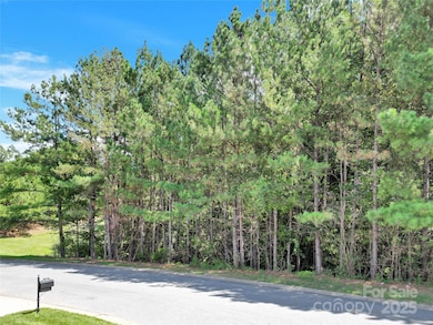 000 Verdict Ridge Dr unit 284, Denver, NC 28037 - photo 2