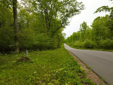 0 Buettner Rd unit 214627, White Lake, WI 54491 - photo 5