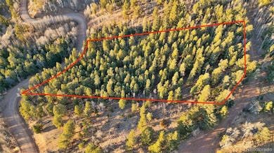 1289 Yorktown Rd, Cripple Creek, CO 80813 - photo 6