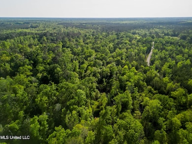 0 Peewee Miller Rd, Lucedale, MS 39452 - photo 2